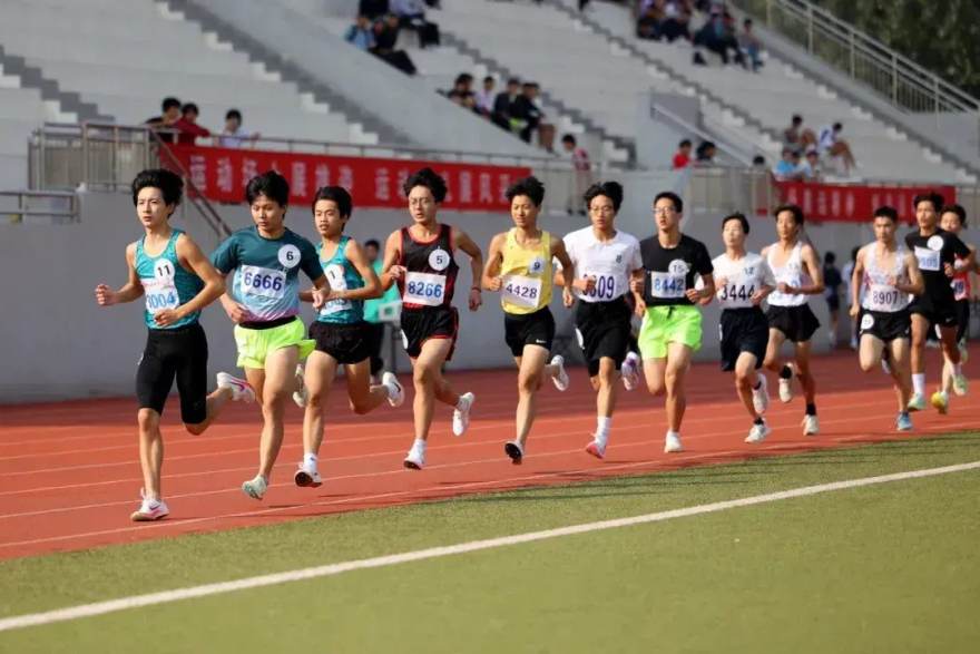 天下足球网整场比赛录像下载服务展示